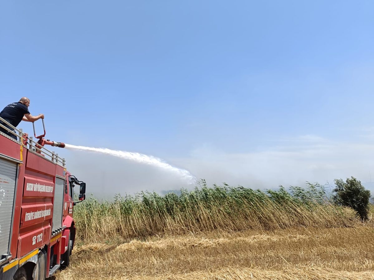 445580871 18234526399302183 3044143559239239056 N