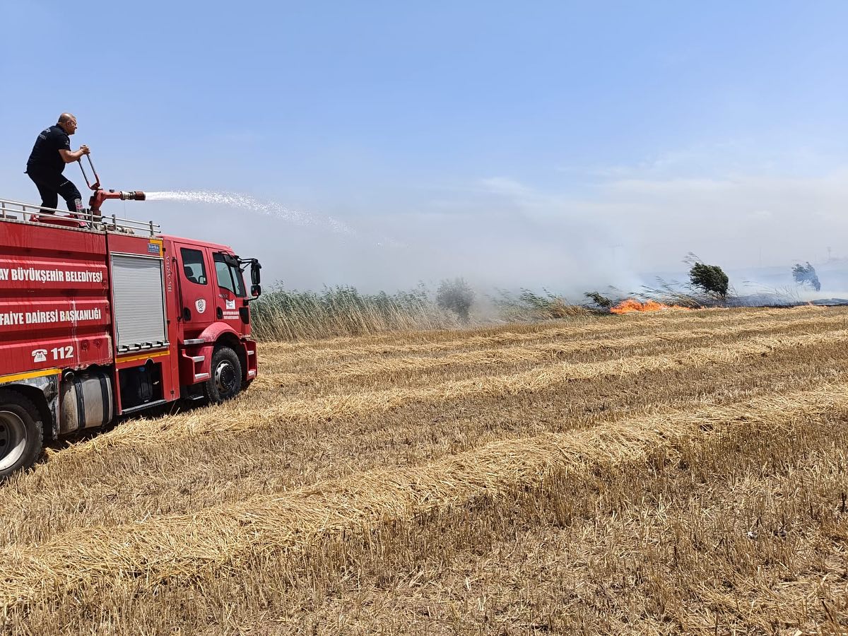 446880433 18234526426302183 2386051290293850259 N