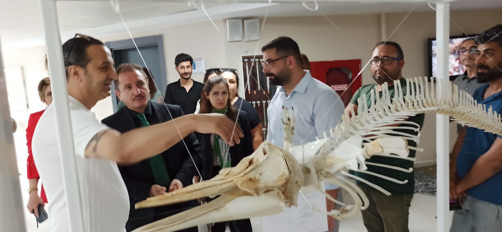 660667Da 0434 45F0 9B24 1E4F150241Ed