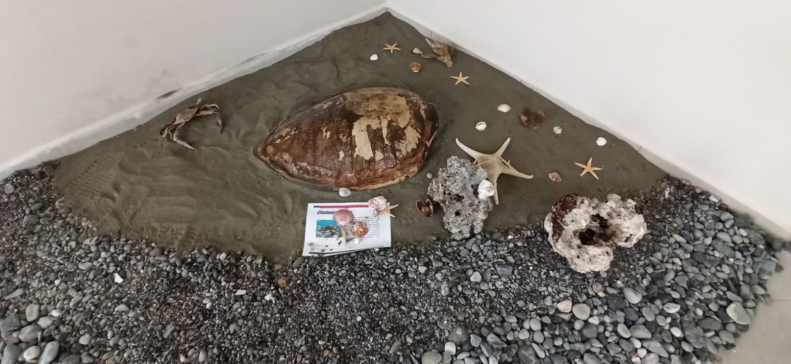 812Fa81C Ef5C 44F7 928F 920684D603B0