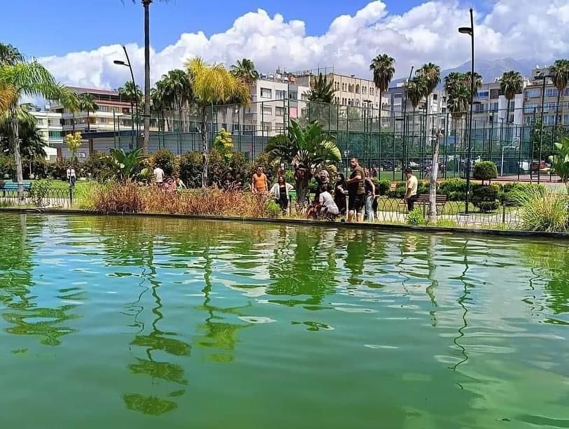 A205F676 4190 4401 A4A2 175C8F9682A3