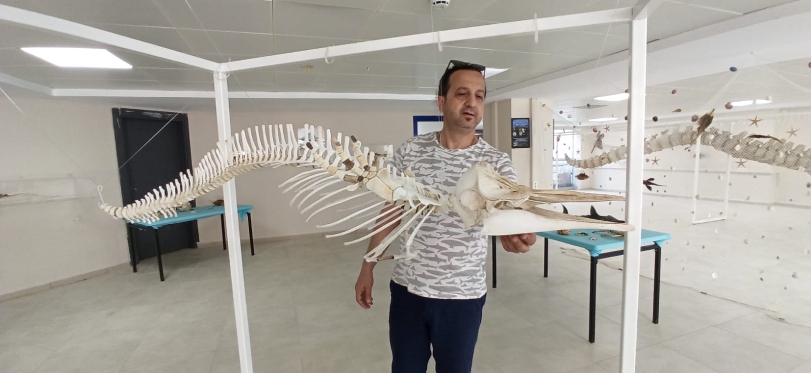 Ae5A85A1 8C6C 4449 Bf3F Cb7Eeca4Df0F