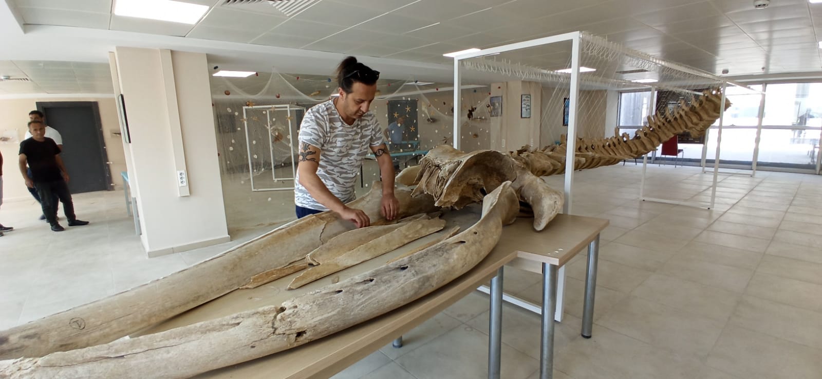 B6E924Cc 2920 42Ff 9Bfe B50Ab1C53D89