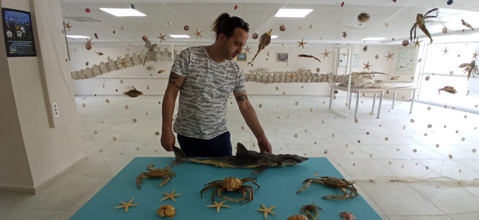 B8Dd28Ef 9D5C 4B2E 9A0F 59C7C59Aeb4A