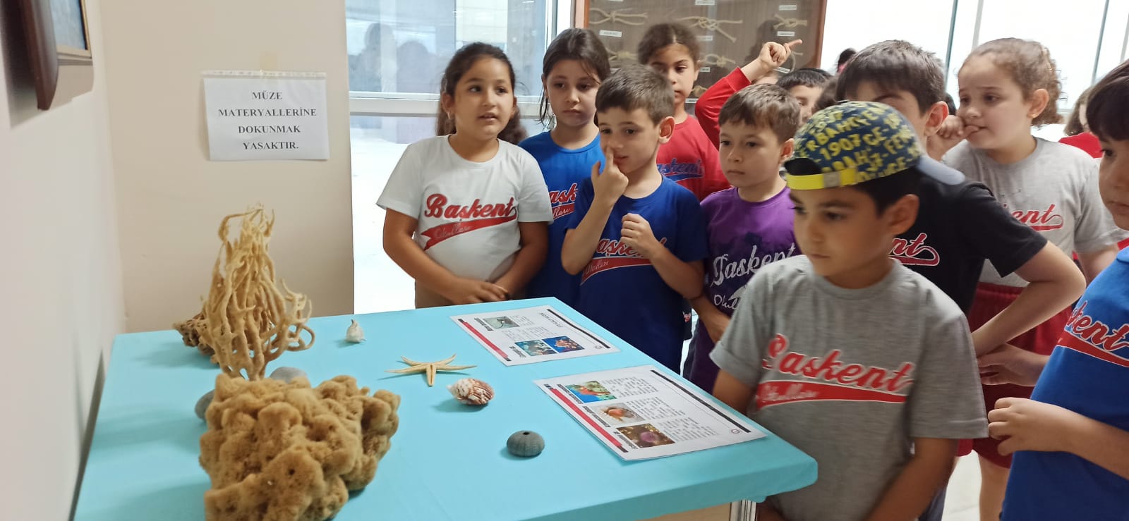 Dab187E8 62B9 438E 9Cd1 Ad68C358Ff93