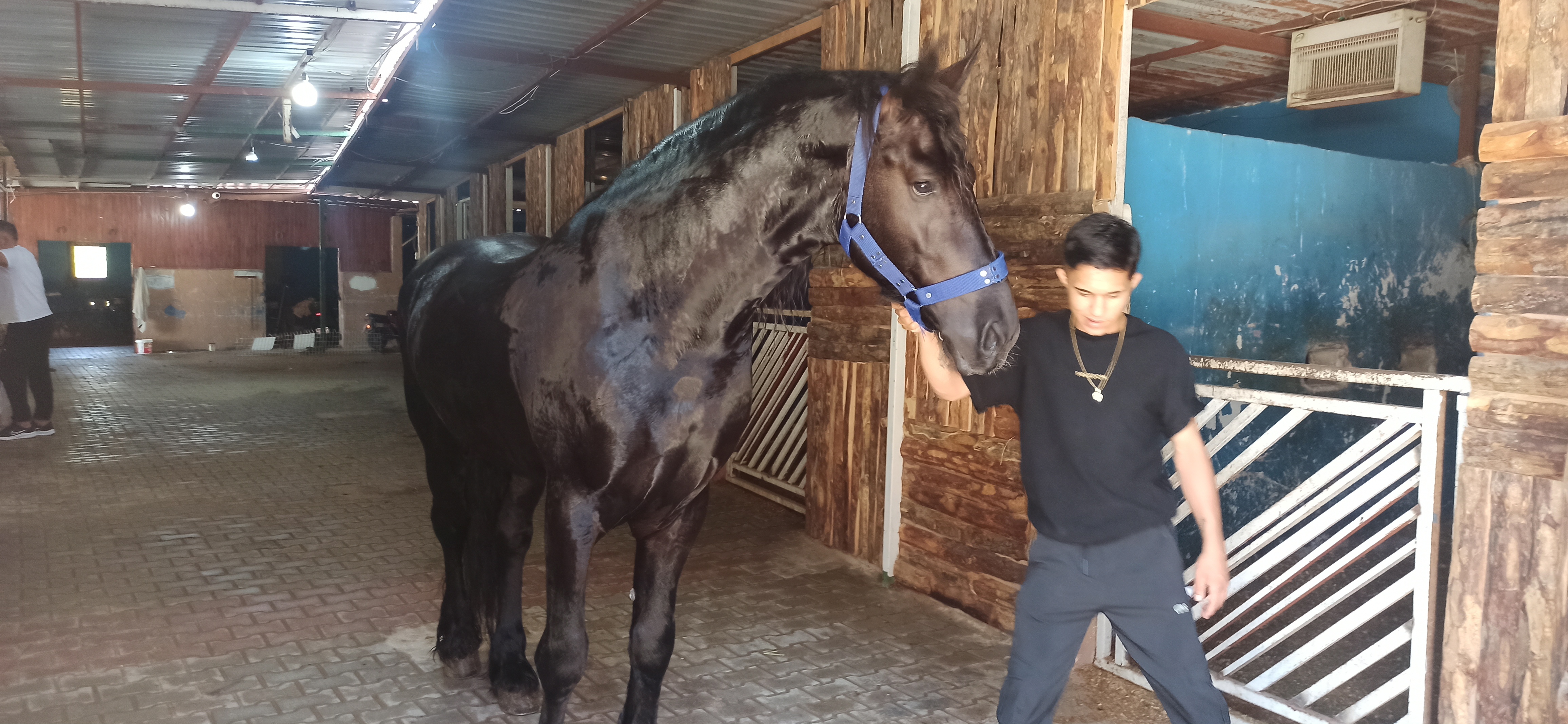 I M G 20240525 115107