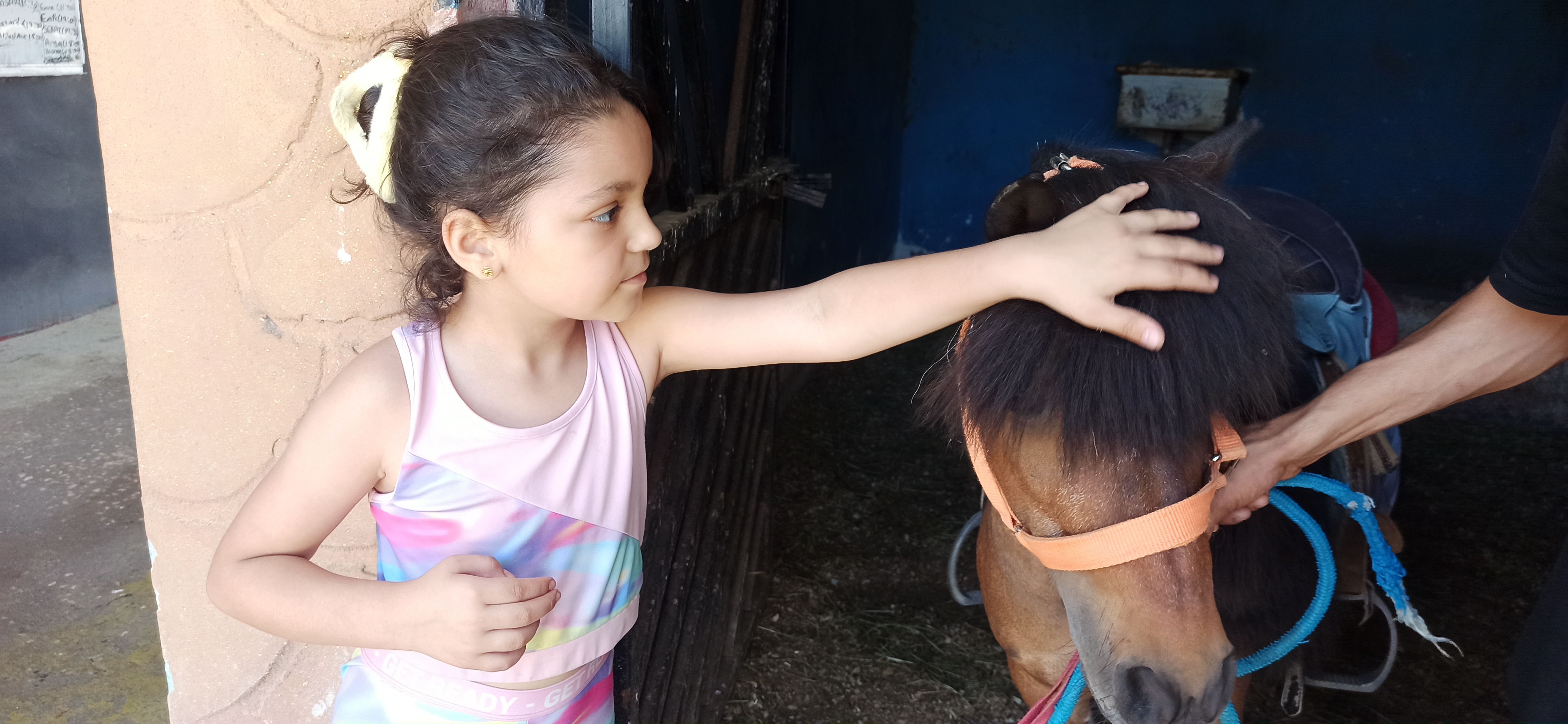 I M G 20240525 121411