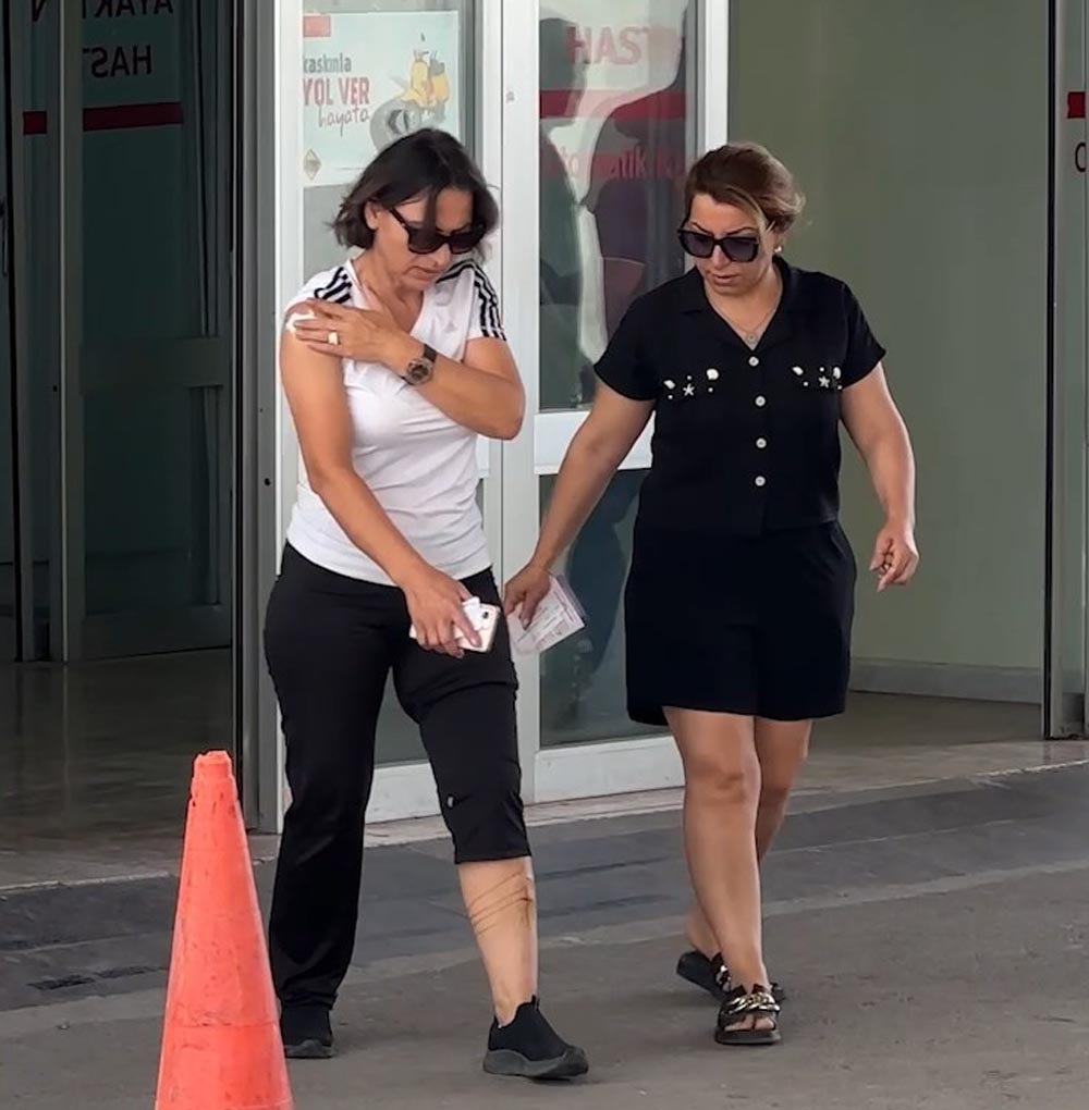 Kopek Saldiri Sevda (2)-1