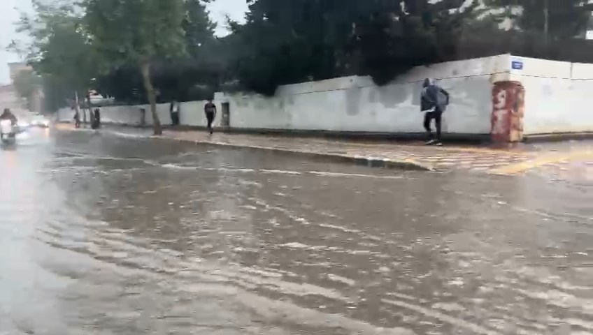 Whatsapp Video 2024 05 02 At 08.13.56.Mp4 Snapshot 00.07.322