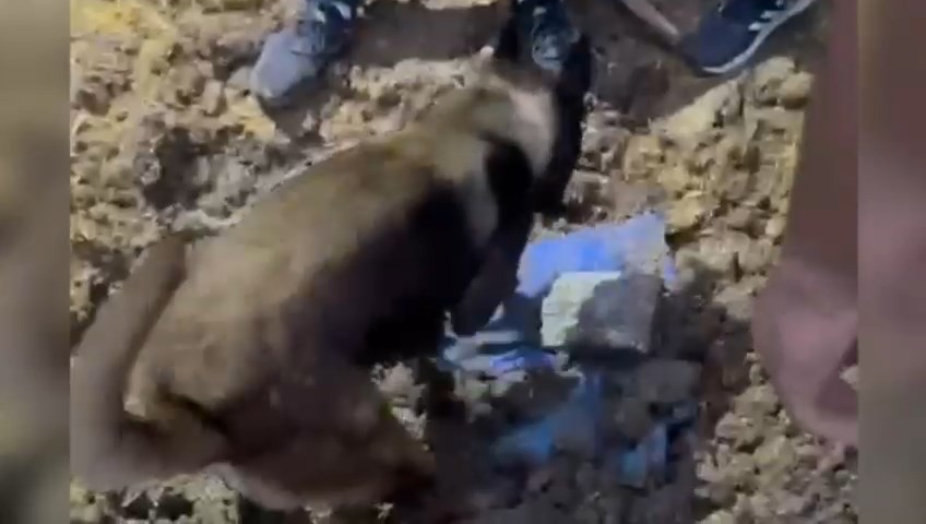 Whatsapp Video 2024 05 17 At 15.52.20.Mp4 Snapshot 00.18.597