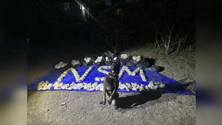 Whatsapp Video 2024 05 17 At 15.52.20.Mp4 Snapshot 00.30.748