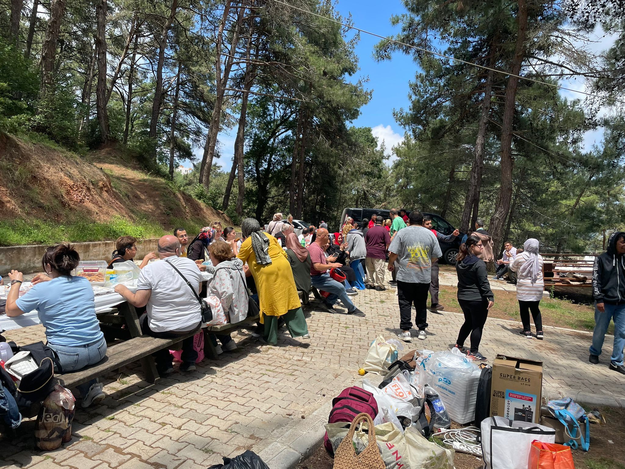 0Cc8F232 Fc4D 4E36 8F6D 53A050B980Ef