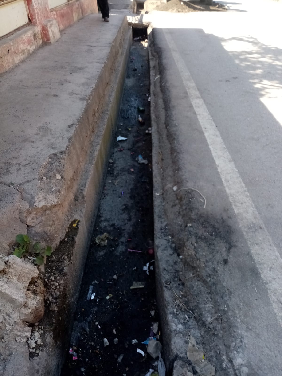 13B6A6Fe 52Cf 4E66 9D2B 48Fa825C59Dc