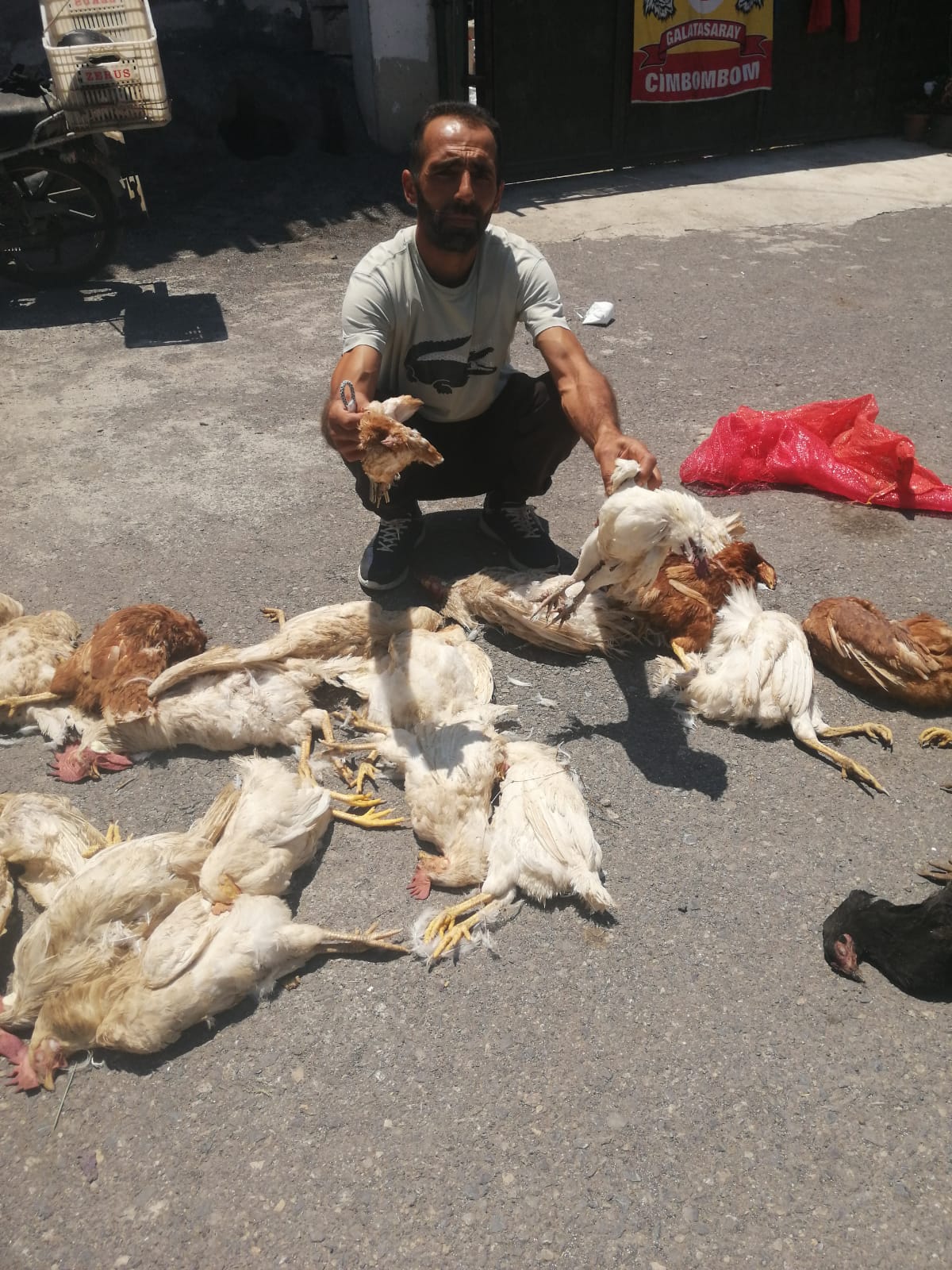 3F1521Db 93B3 4A2E Aa53 C8E655Da49F9