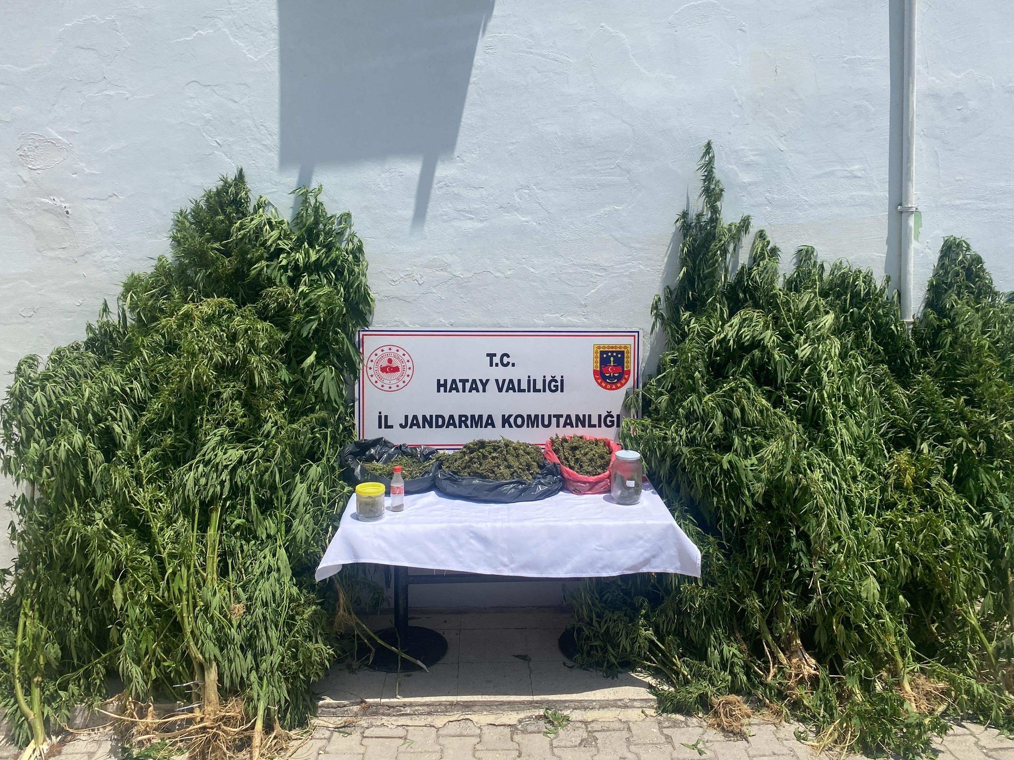 4435Cd9B E3E1 4C7A 8B13 92865Dc4B1Fd