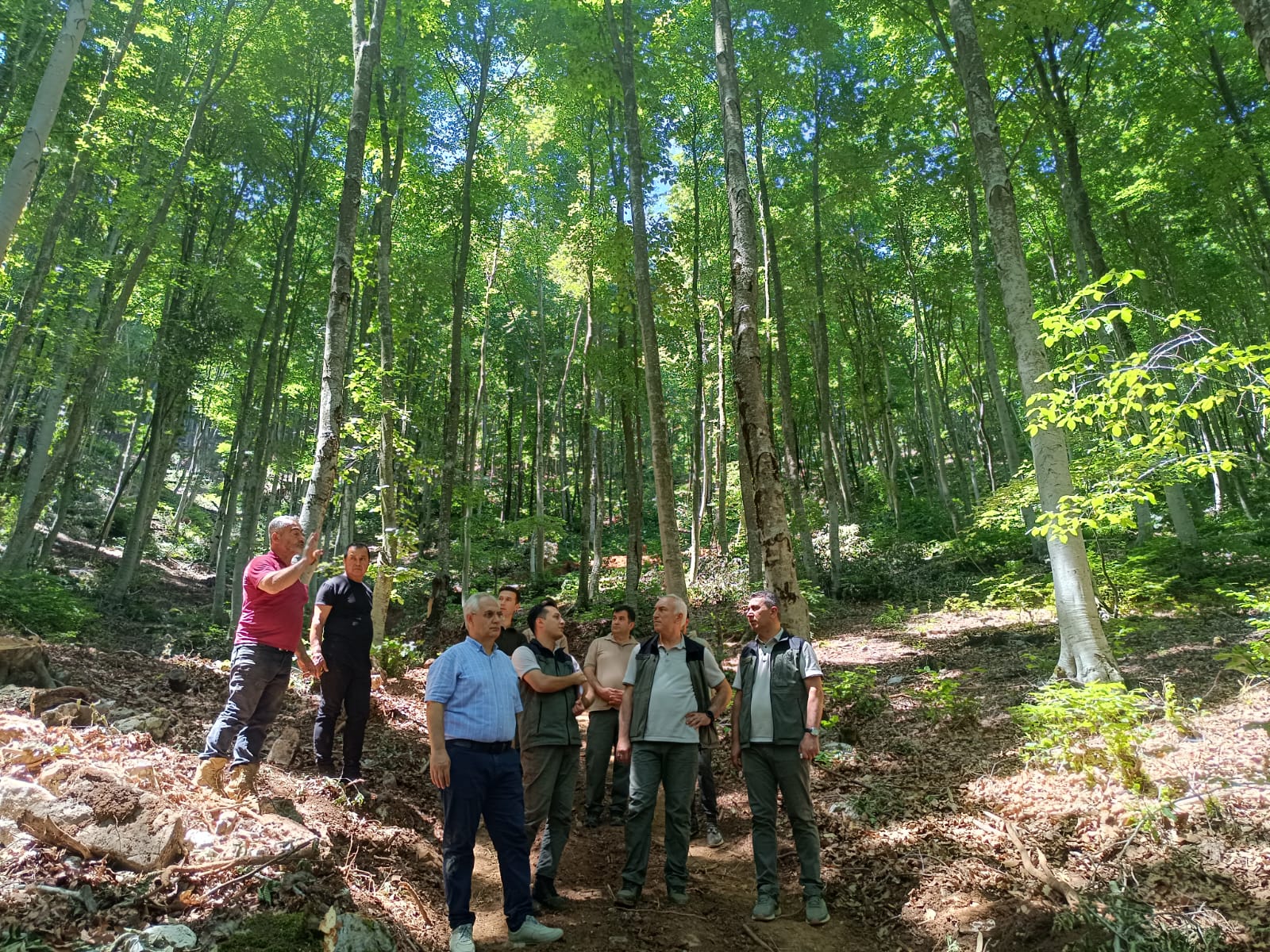 447402927 465925652787996 5291887840373941501 N