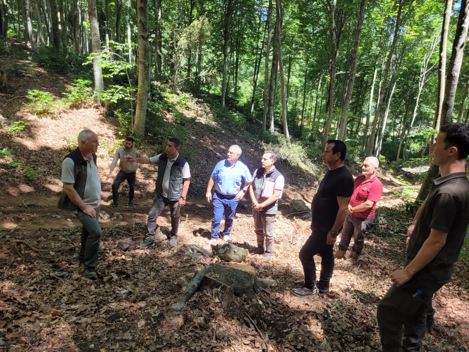 447472723 465925489454679 4409042357520659373 N