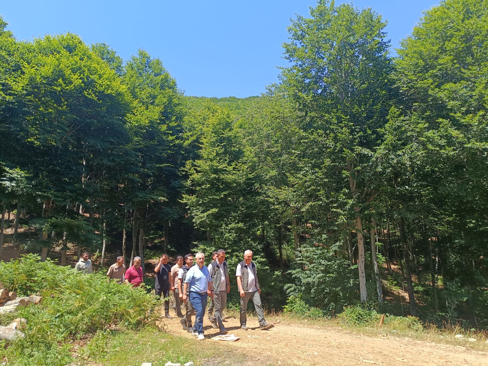 447492056 465925606121334 1991357866203210421 N