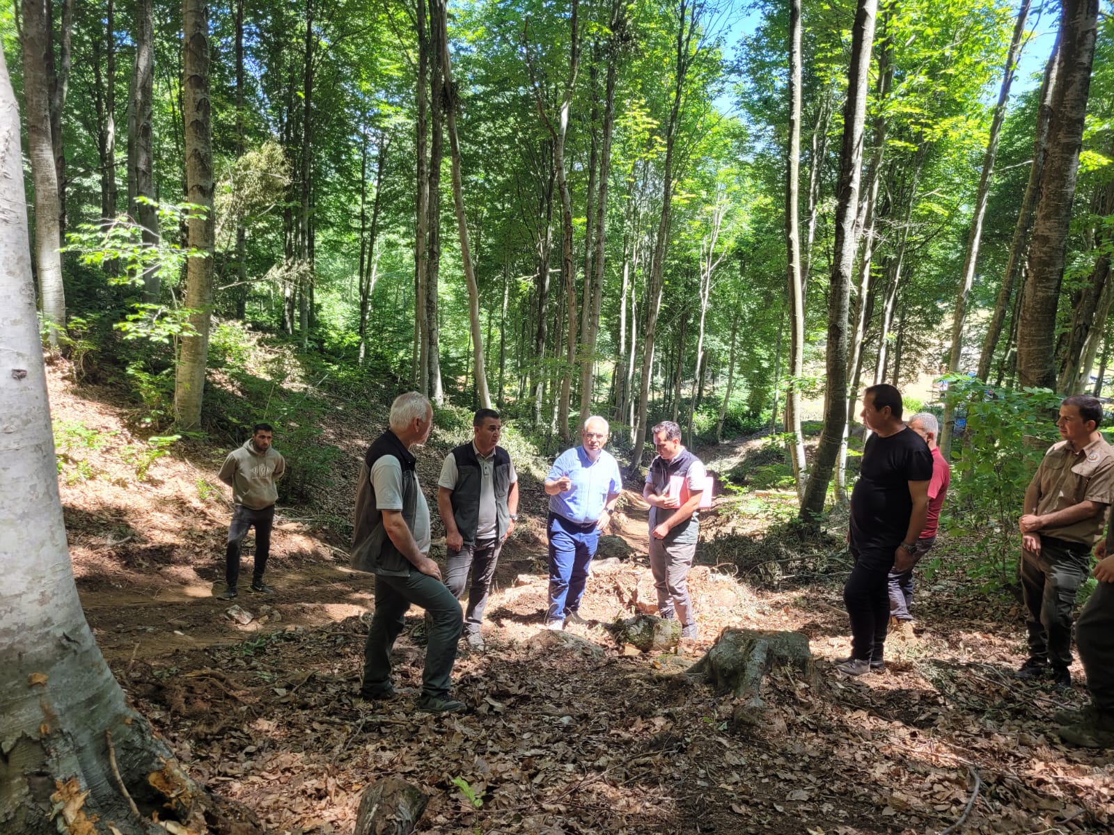 447660504 465925706121324 972339408614722881 N