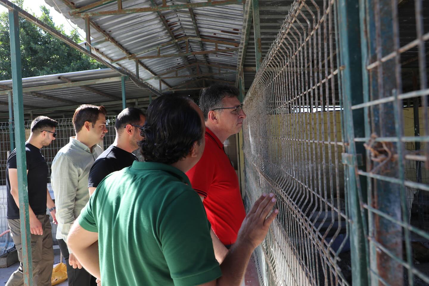 447724969 18357907384099373 2144073060917232736 N