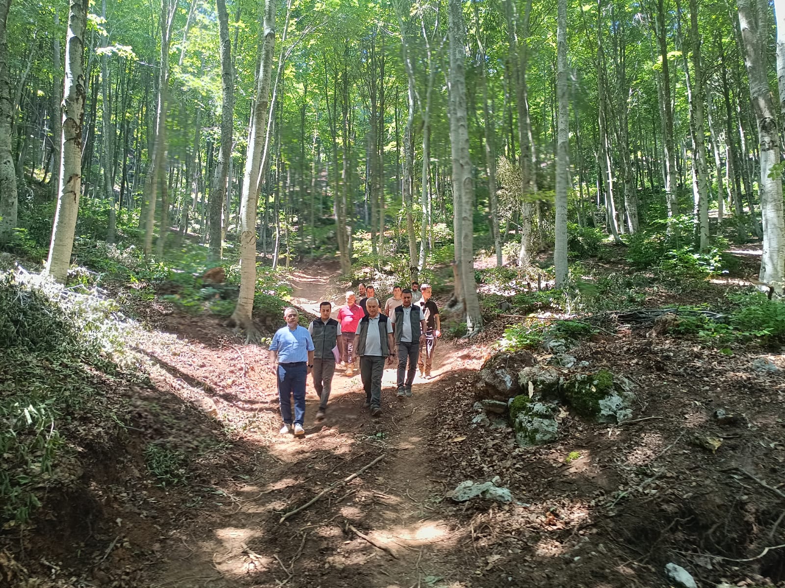 447773812 465925599454668 8802700995111730033 N