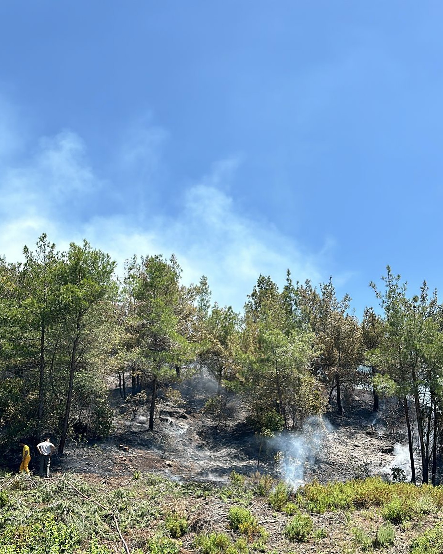 448166421 17964653090766251 5032431943206322622 N