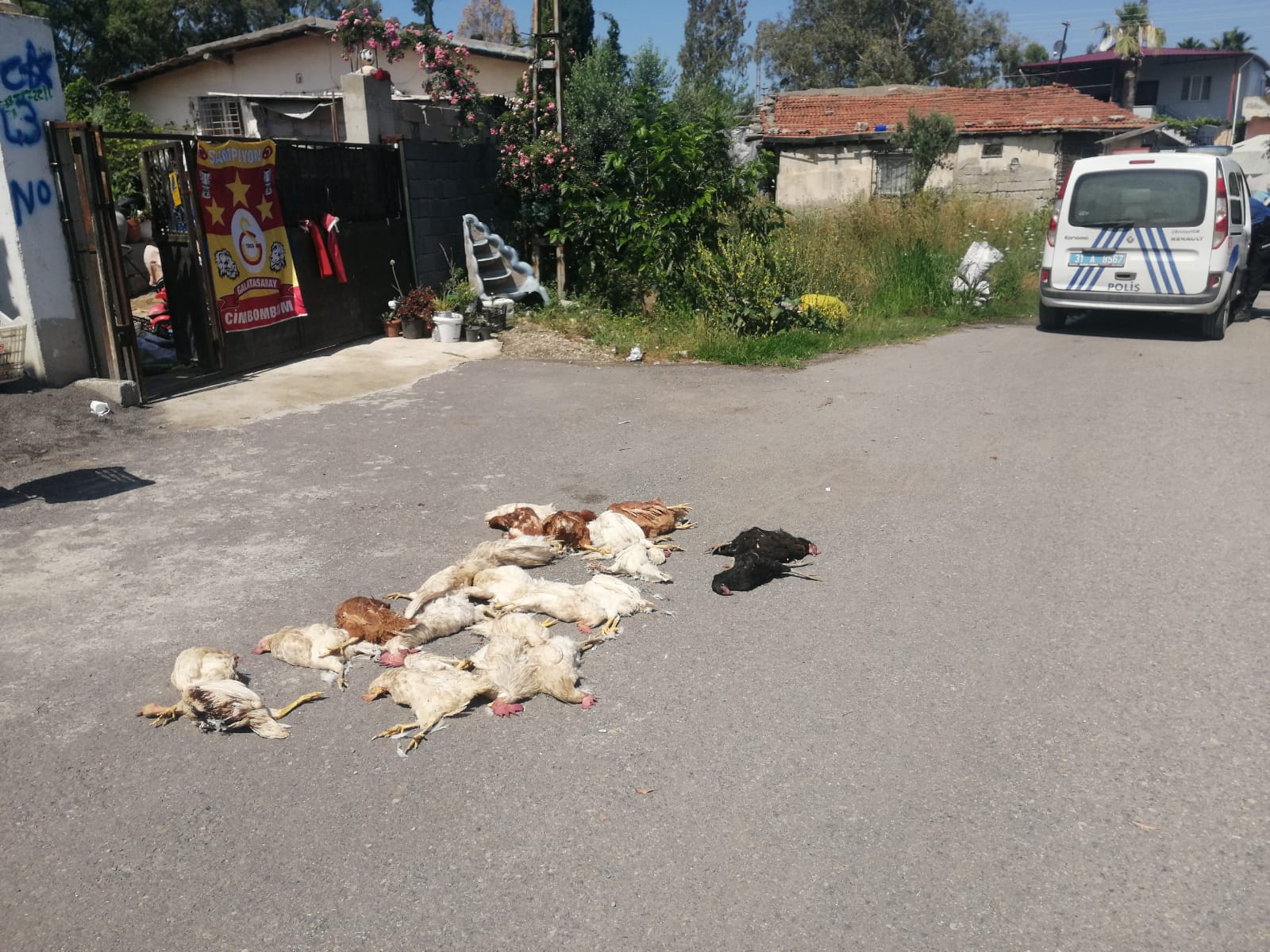 4Af22B51 5B81 4925 81C7 D94252C3Cc72