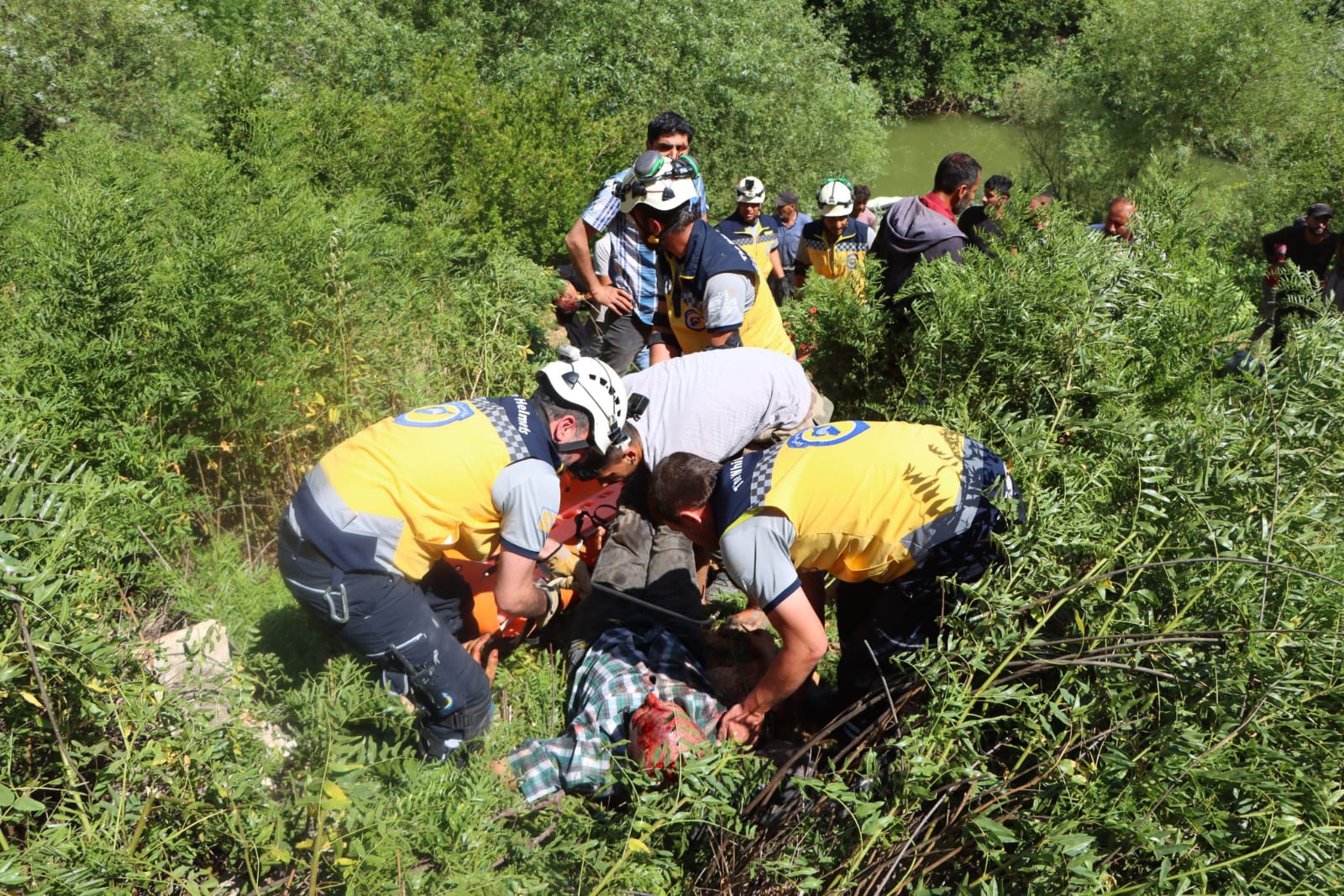 5493F0C0 A734 4191 Be6F 04D63Ff61Eb2