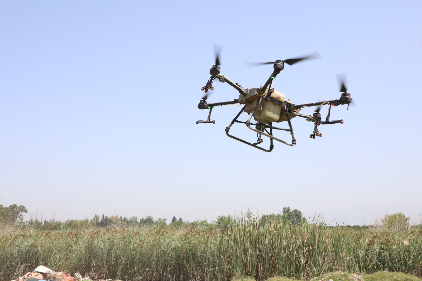 5E5Cd93A 8Dec 4223 Aa50 E49E68C194D2