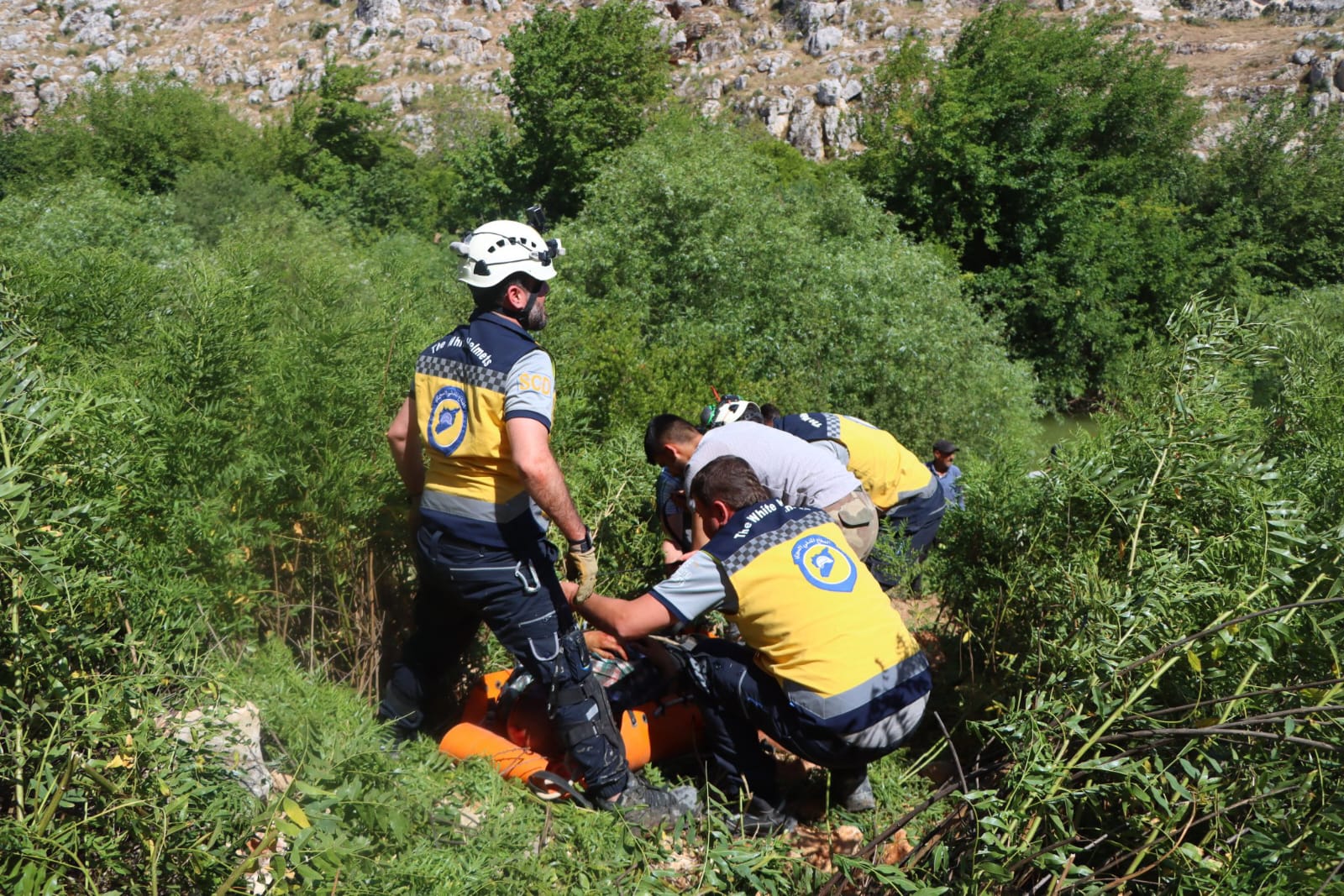 70151200 Cb57 4B18 Bb69 Cabfc9192Dbc