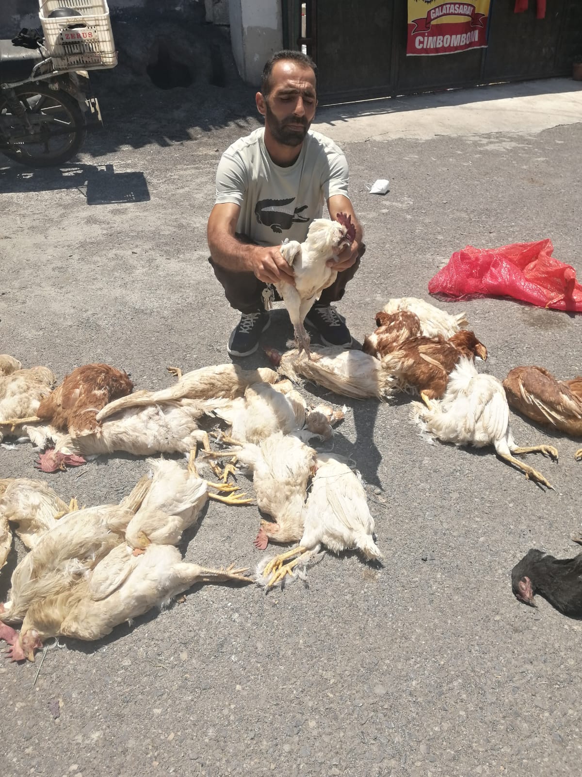 88E7A250 1D12 4395 8Edd 807193A79D27