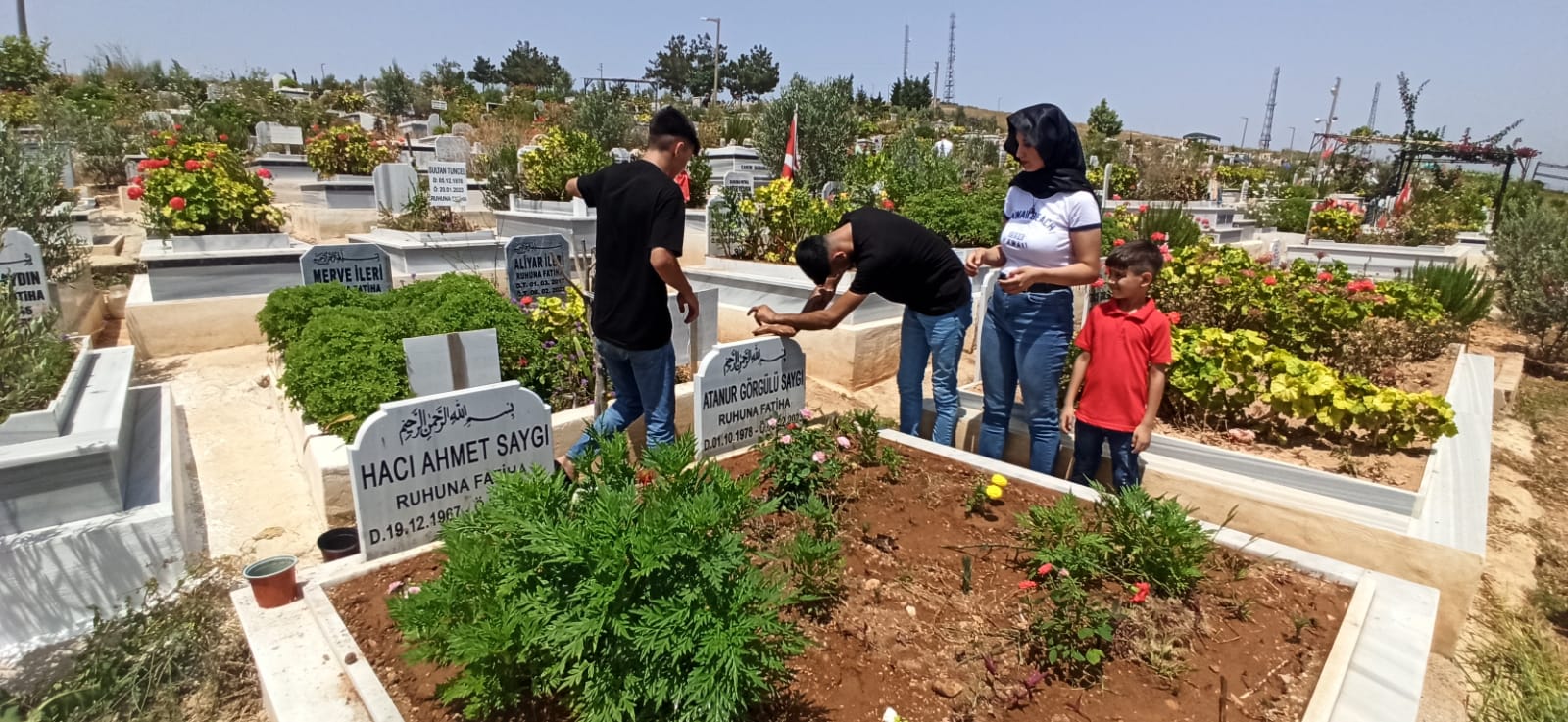 8Afc352C D5A2 4597 8D54 B97731E98A3E