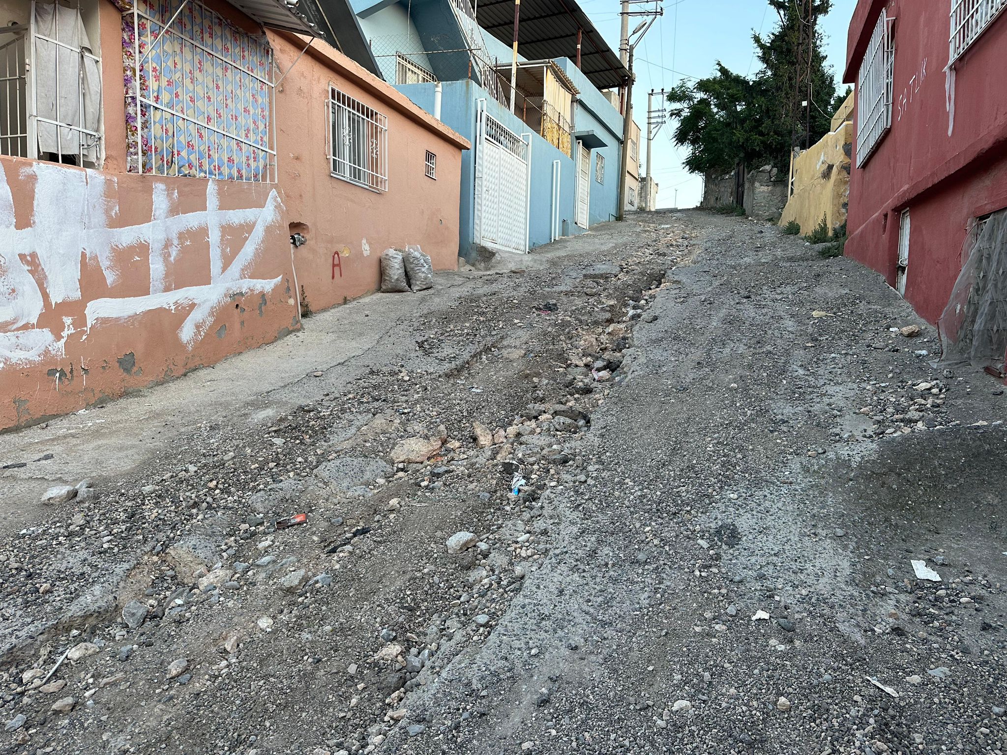 D2C3Aca2 303F 45Ed Bde3 66602C86D8Eb