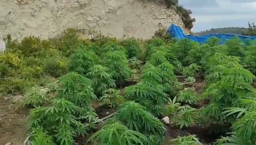 Whatsapp Video 2024 06 01 At 19.06.24.Mp4 Snapshot 00.31.155