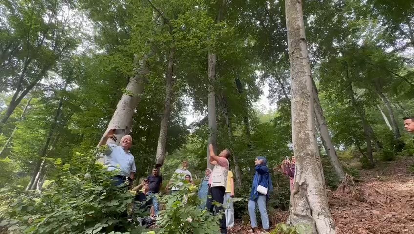 Whatsapp Video 2024 06 29 At 16.07.00.Mp4 Snapshot 01.15.100