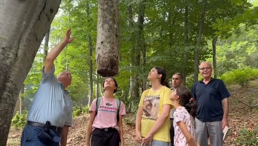 Whatsapp Video 2024 06 29 At 16.07.00.Mp4 Snapshot 06.09.431