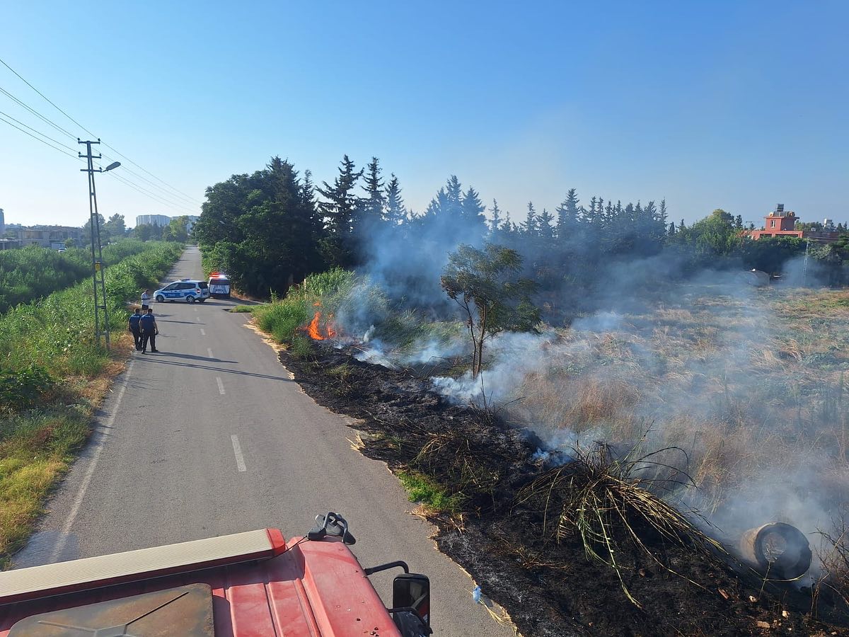 450527796 18240229270302183 6504021772044782786 N (1)