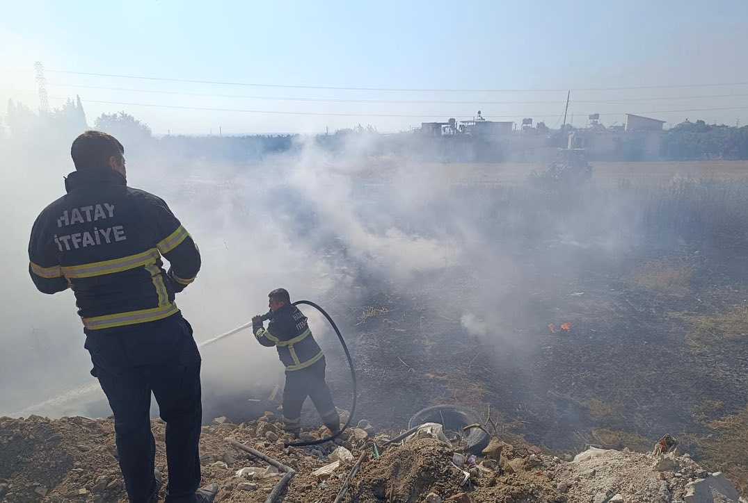 450954310 18240106306302183 3820538320940918724 N (1)