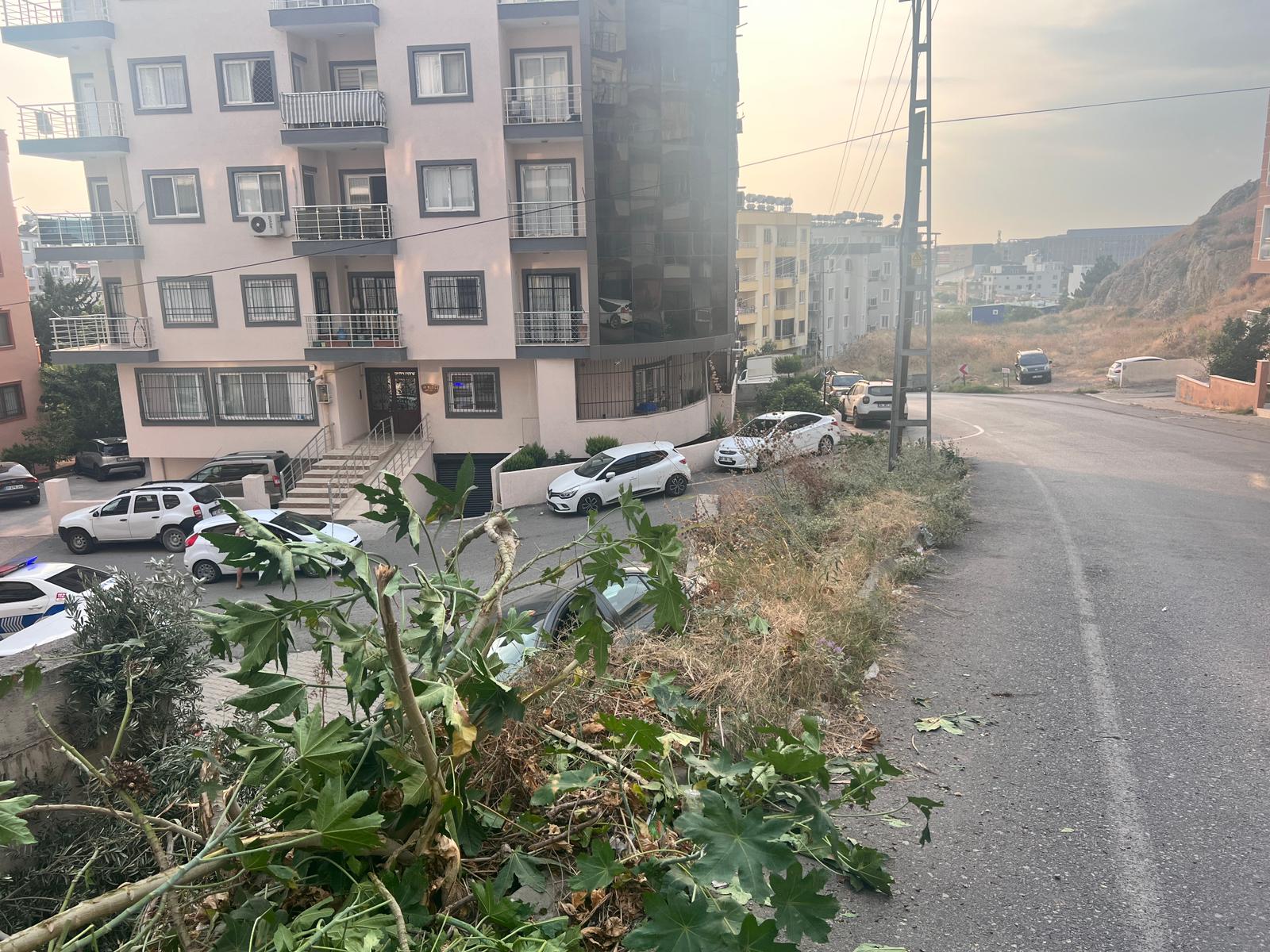 518E2E3E 638C 480B 971E A25Eb746A13F