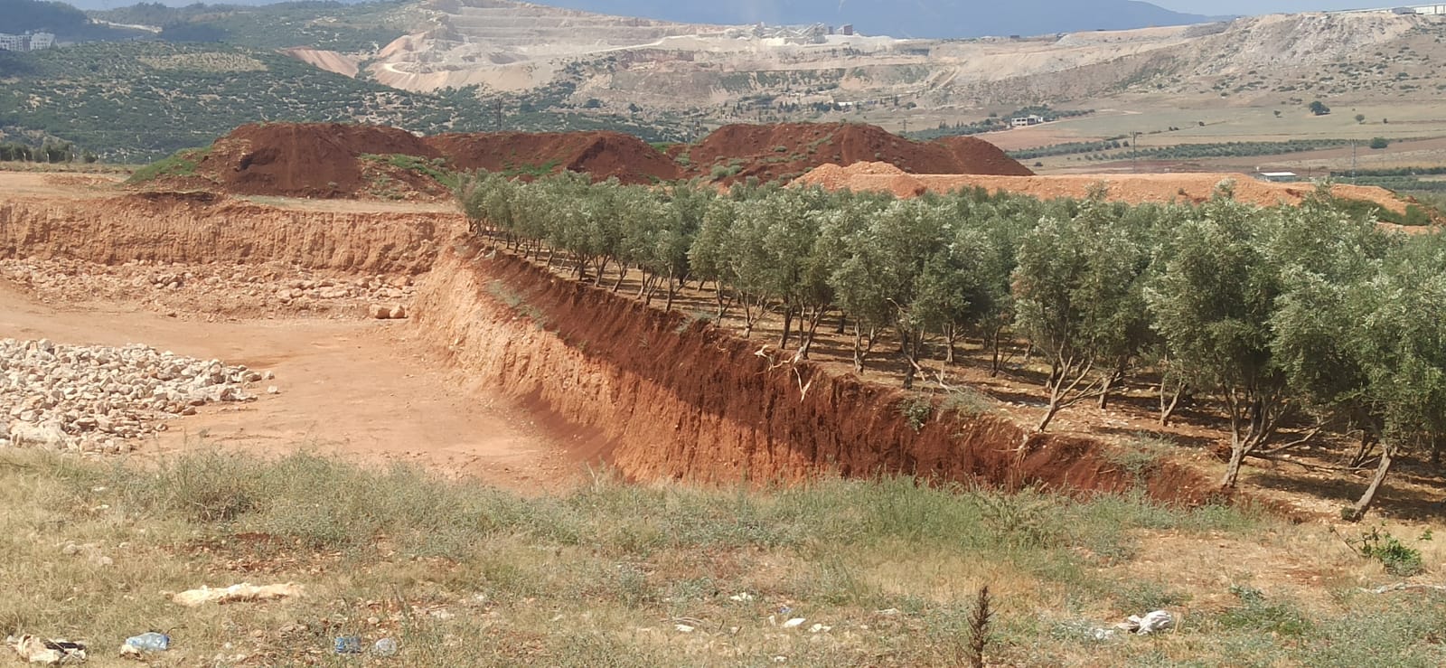 699E027C 5C86 42C5 A0Dc 7B4C80Bc1014