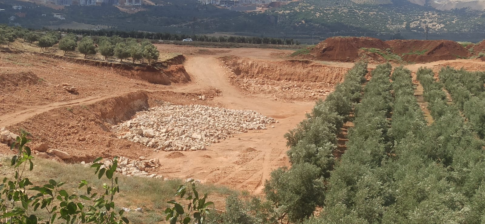 8A5F7Db0 1990 4920 89C6 538C0Bf6D005