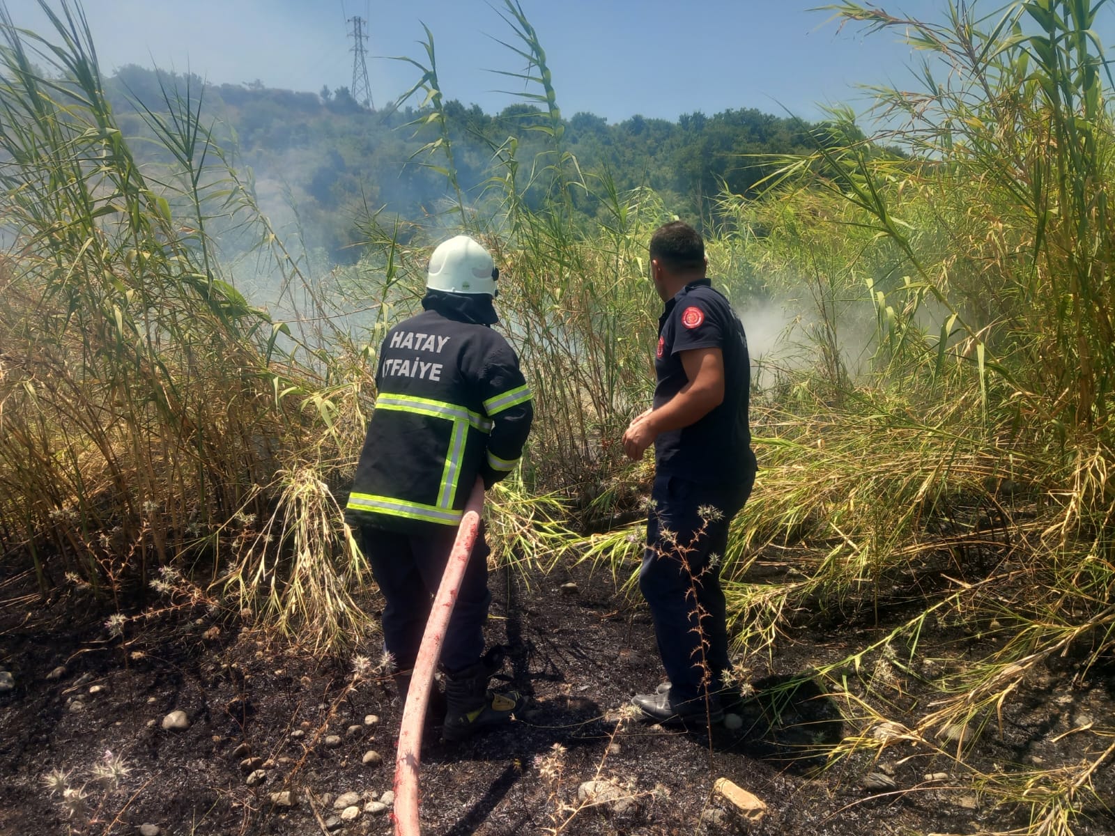 8C59C288 Cc83 4Ce7 831F 664842Ad8503