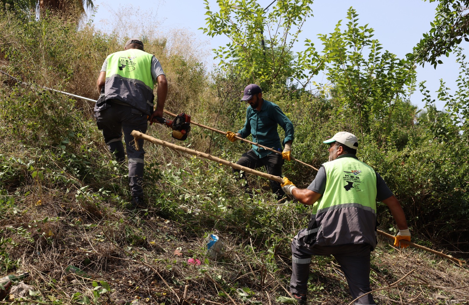 9D6281E7 055C 4C60 Aff4 10A3B05A2076