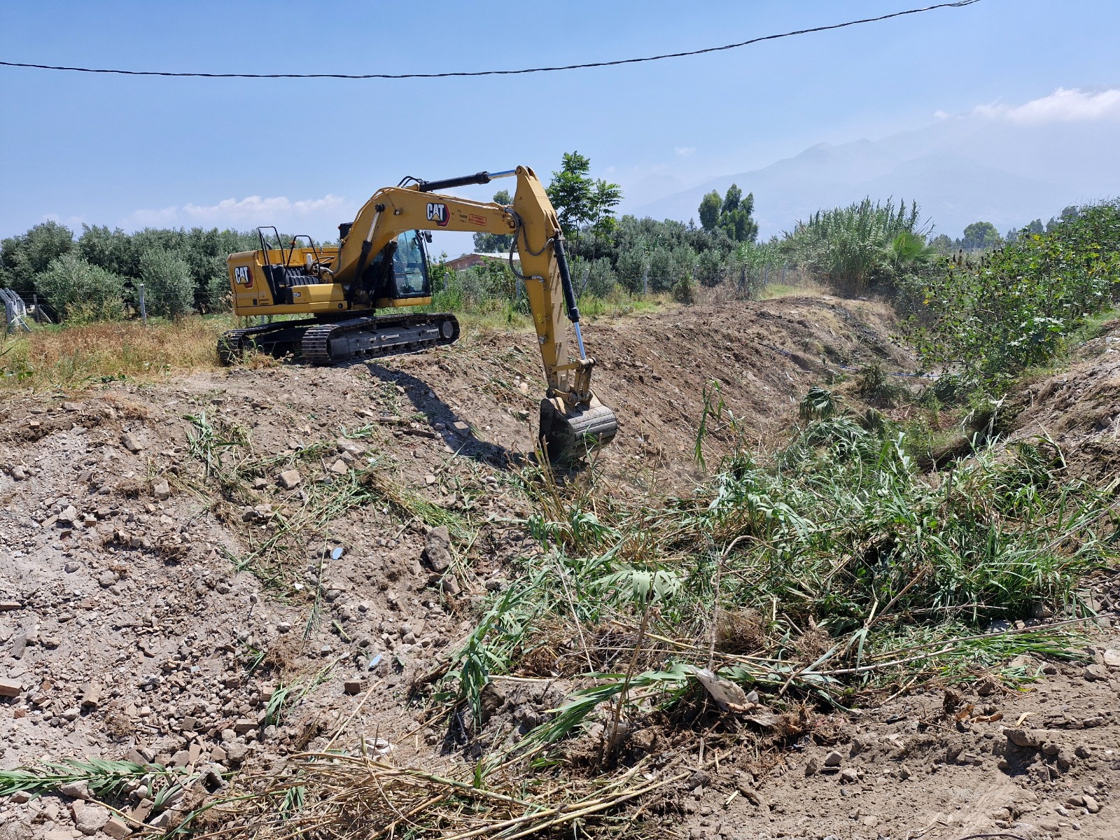 9E7D7949 A3E2 47Dd B1C7 816C99Eafa69