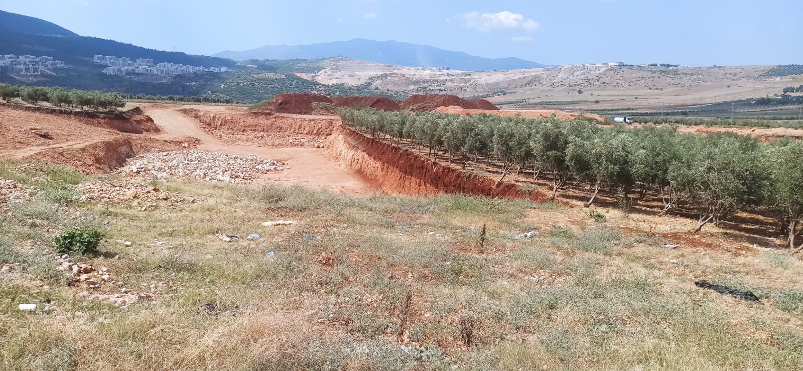 A2A25254 01Fa 4Ae2 8153 Fe2A218950Af