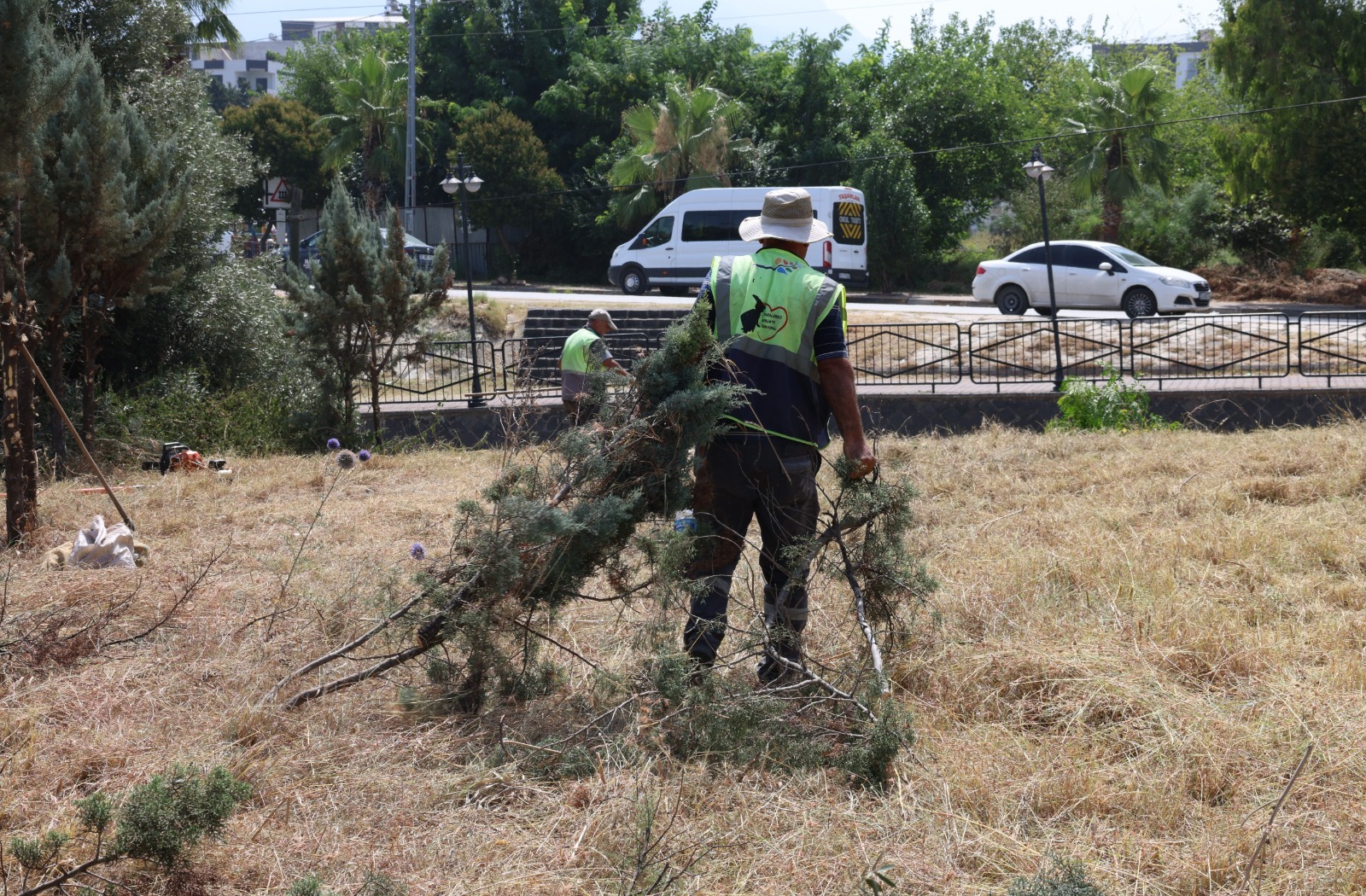 D06F12Bf C13F 44A1 Bb05 0742B832D19B