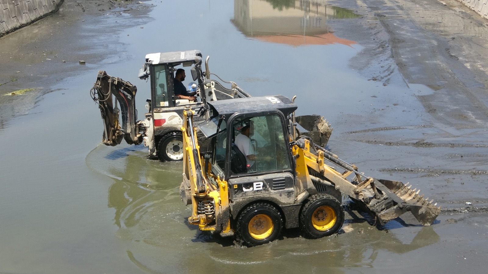 D156639D Fdef 4Ea4 8Cee 80B2Cd778Fec