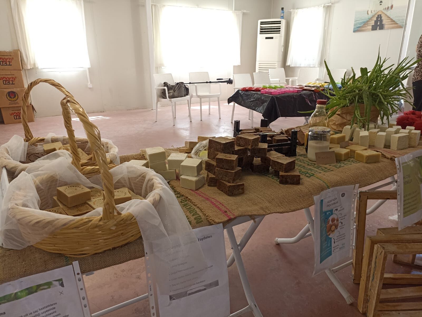 E6F28Ad2 Ebf2 423F 98Ac 136098E8Fb9A