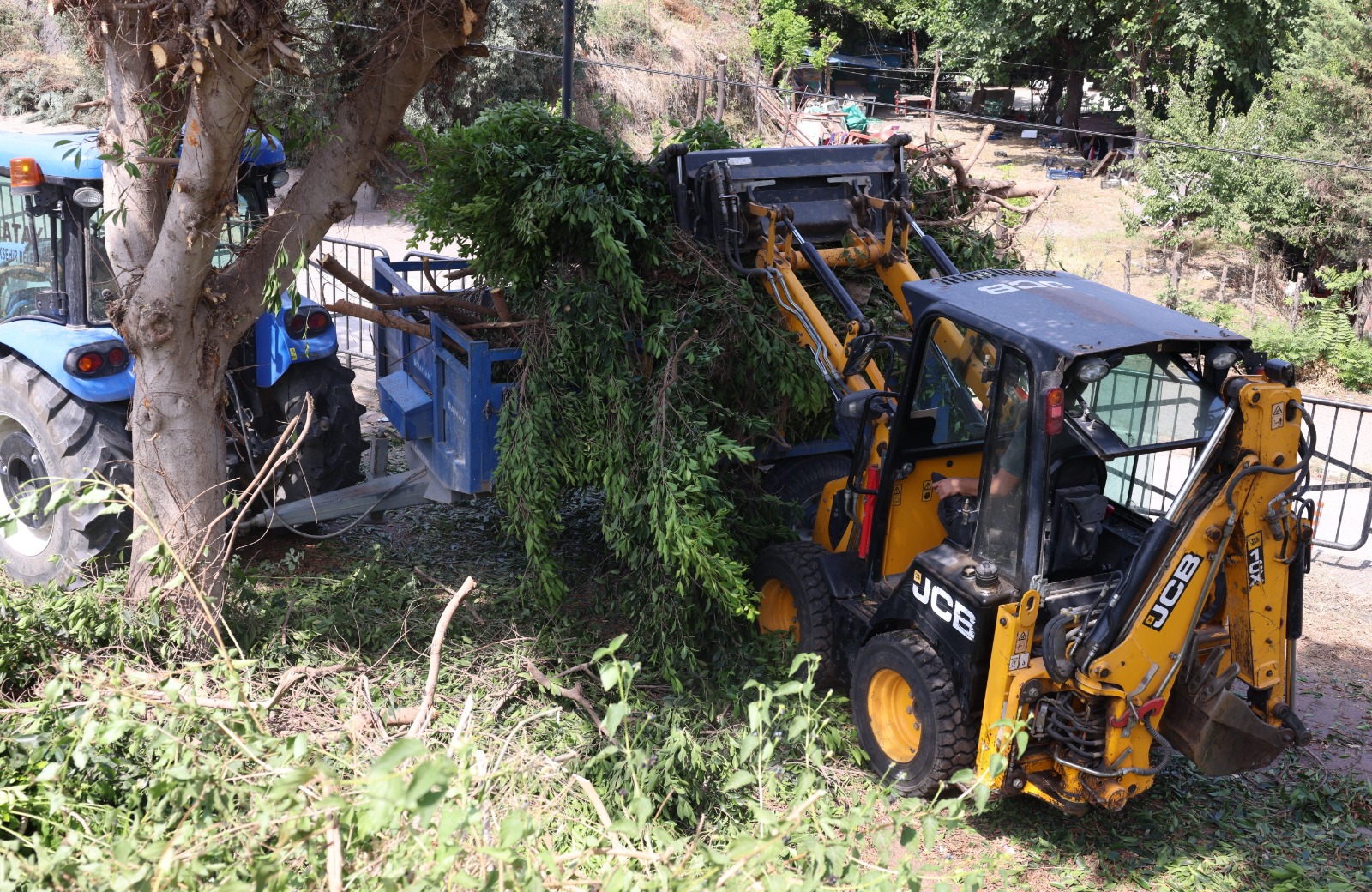 Ece0557F 8B40 457A A747 6052D6Fa4Abc