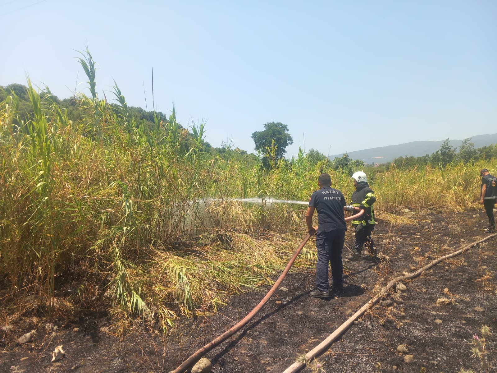 F1C743F1 Eceb 41B6 93A3 A129Ad3E634D